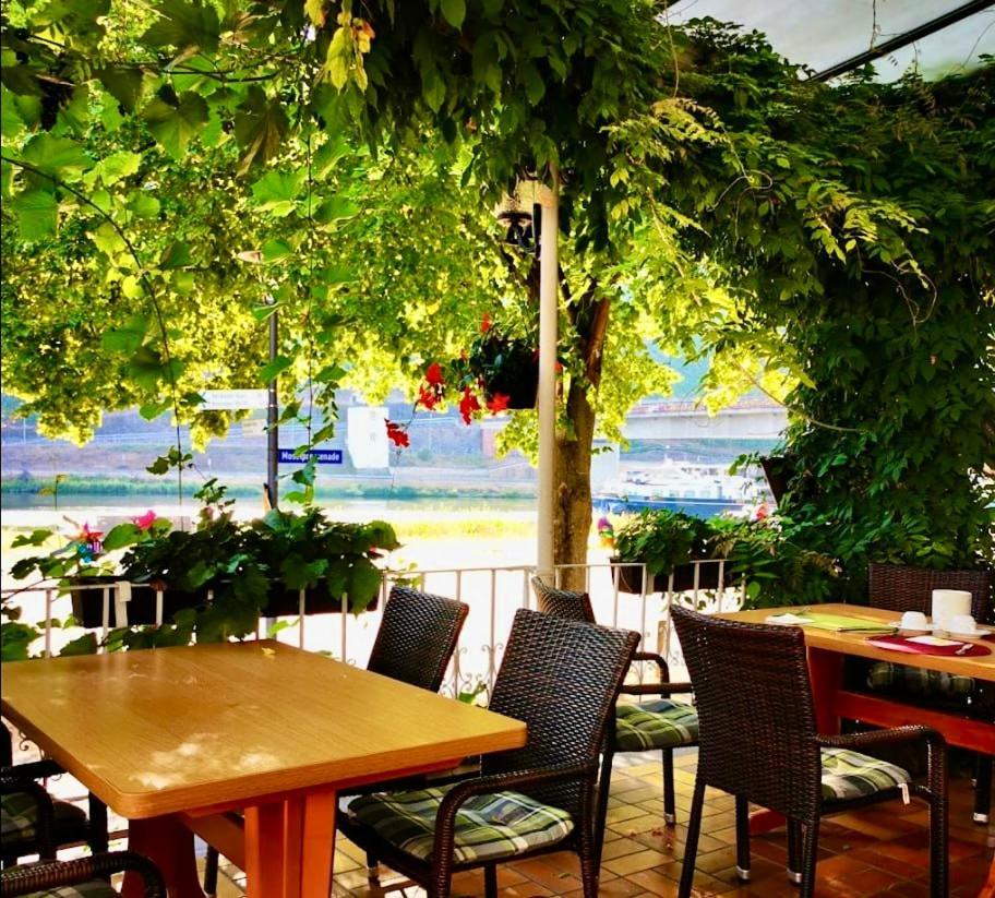 Hotel Krone Riesling 트리텐하임 외부 사진